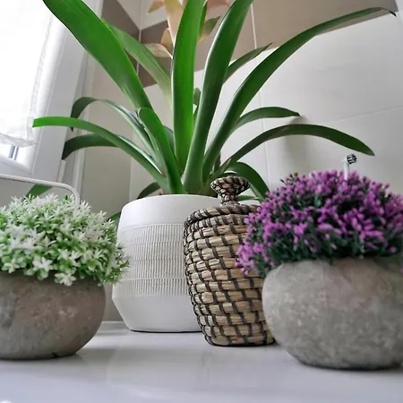 Apartmán Rentopolis - Palazzo Candiani *